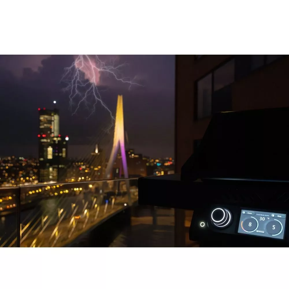 Elektrogrill Napoleon Rogue EQ 365 6 Elektrogrill Napoleon Rogue EQ 365 – Bild 6