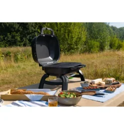 Mobiler Gasgrill Napoleon TravelQ 240 -Camping Förderung outdoor grill 7 personen edelstahlbrenner wave grillrost trvel q 240 napoleon propangas grill 1000 12 24599