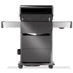 Gasgrill Napoleon Rogue PRO-S 425 RSIB, Schwarz -Camping Förderung rueckenansicht napoleon rogue pro s 425 schwarzer grill seitenbrenner heckbrenner inklusive drehspiess 1000 8 20094