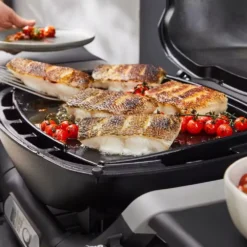 Weber Plancha Für Gasgrill Q 1100N Und Q 1200N 9 Weber Plancha Für Gasgrill Q 1100N Und Q 1200N -Camping Förderung weber plancha gusseisen antihaftbeschichtung gleichmaessige hitzeverteilung 1000 4 28142